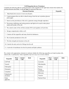 Cell Organelles Review Worksheet