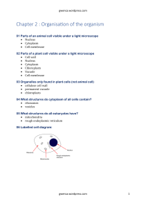 Cell Organization Study Notes: Biology High School