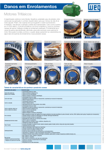 An&aacute;lise e Causas de Danos em Enrolamentos de Motores Trif&aacute;sicos