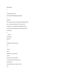 Corps of Engineers: Risk Management Transformation