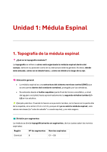 Anatom&iacute;a de la M&eacute;dula Espinal: Topograf&iacute;a, Sustancia Gris y Blanca