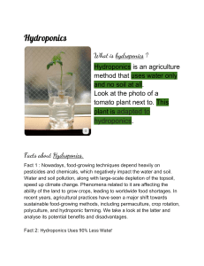 Hydroponics: Definition, Facts, and Techniques