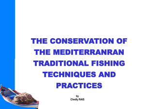 Mediterranean Traditional Fishing Conservation
