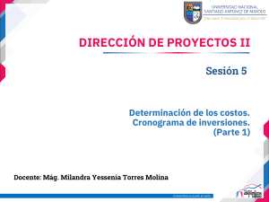 Presentaci&oacute;n de Costos e Inversiones en Proyectos