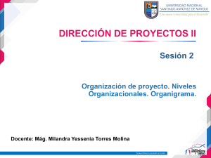 Organizaci&oacute;n de Proyectos: Niveles y Organigramas