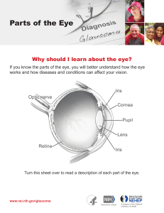 Parts of the Eye: Anatomy and Function