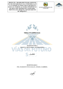 Evaluación de Impacto Ambiental: Mejora Vial, Arequipa
