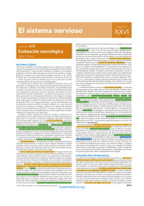 Evaluaci&oacute;n neurol&oacute;gica - Cap&iacute;tulo 608 de El sistema nervioso