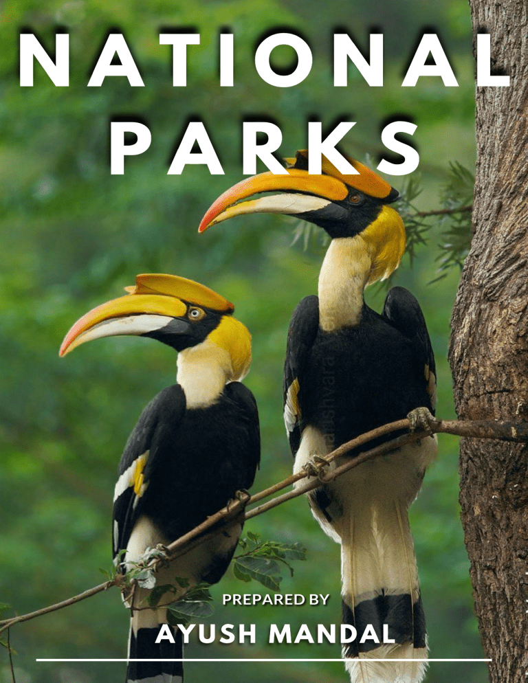 Anshi National Park: A Guide to India's Wildlife & Nature