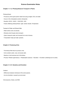 Science Exam Notes: Photosynthesis, Genetics, Chemistry