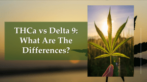 THCa vs Delta 9: Differences, Effects & Legality