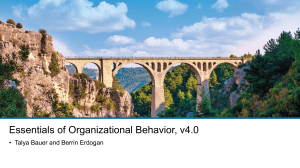 Conflict & Negotiation: Organizational Behavior Essentials