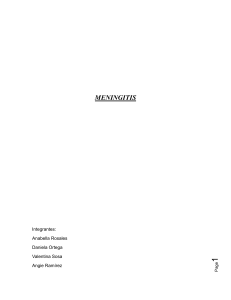 Meningitis: Causas, Tipos y Complicaciones Informe