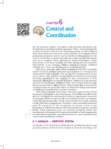 Control and Coordination: Nervous System & Reflex Actions in Biology