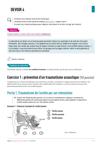 Examen Audition & Traumatisme Auditif - Biologie Lyc&eacute;e