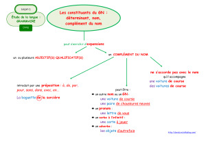 Grammaire fran&ccedil;aise : Constituants du groupe nominal (CM2)