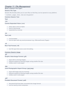 File Management: Generic File Types & Size Reduction
