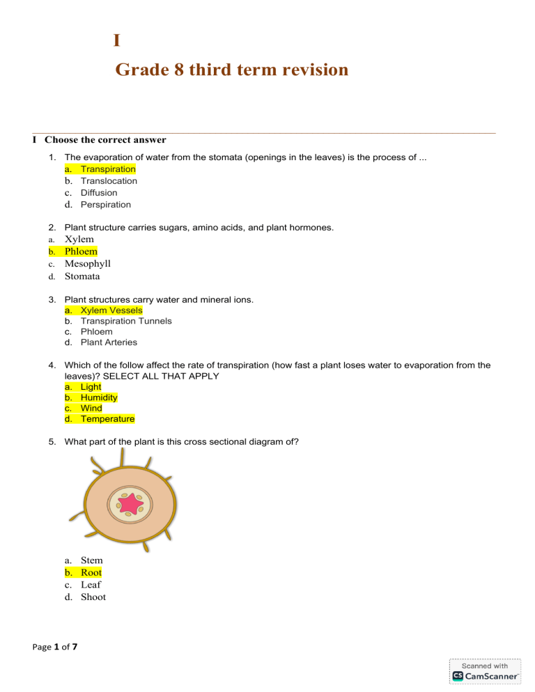 Grade 8 Science Revision: Plants & Circulatory System
