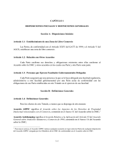 Acuerdo de Libre Comercio: Disposiciones Iniciales y Definiciones