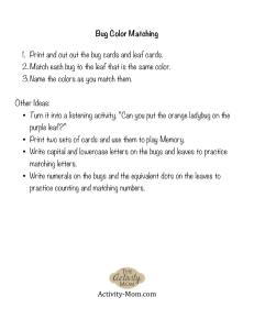 Bug Color Matching Activity for Kids