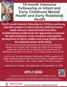 Infant & Early Childhood Mental Health Fellowship