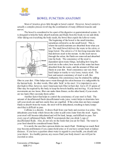 Bowel Function Anatomy: A Comprehensive Guide