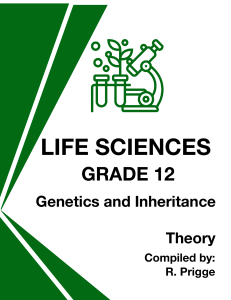 Genetics & Inheritance: Grade 12 Theory Notes