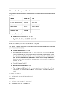 An&aacute;lisis Financiero del Proyecto: Inversi&oacute;n, WACC, VPN, TIR