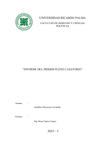 Informe del Primer Pleno Casatorio: An&aacute;lisis Legal y Accidente Minero