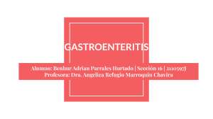 Gastroenteritis: Definici&oacute;n, Causas, S&iacute;ntomas y Fisiopatolog&iacute;a