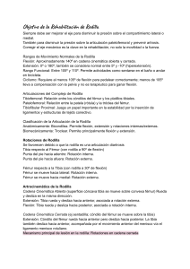 Guía de Rehabilitación de Rodilla: Biomecánica y Tratamiento