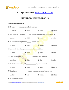 bai-tap-ngu-phap-tieng-anh-lop-11-menh-de-quan-he