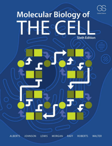Molecular Biology of the Cell, 6th Edition Textbook