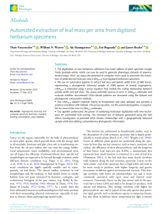 Automated Leaf Mass Extraction from Herbarium Specimens