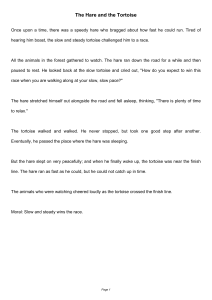 The Hare and the Tortoise: A Classic Fable