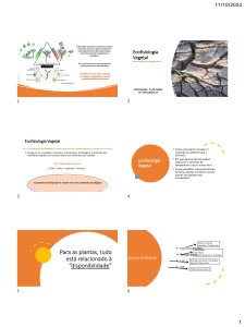 Ecofisiologia Vegetal: Adapta&ccedil;&otilde;es e Transporte de &Aacute;gua