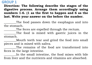 Digestive System Stages Worksheet