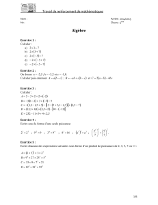 Renforcement Maths 5&egrave;me : Alg&egrave;bre & G&eacute;om&eacute;trie
