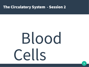 Circulatory System: Blood Cells Presentation