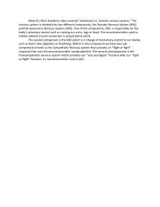 Autonomic vs. Somatic Nervous System Summary