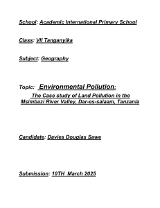 Land Pollution Case Study: Msimbazi River Valley
