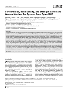 Vertebral Size, Density & Strength: Sex Differences