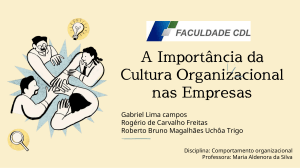 Cultura Organizacional nas Empresas: Import&acirc;ncia e Exemplos