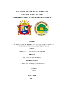 Informe: Determinaci&oacute;n de S&oacute;lidos Solubles y Colorimetr&iacute;a en Frutas