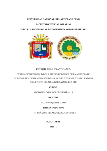 Informe de Pr&aacute;ctica: Evaluaci&oacute;n Fisicoqu&iacute;mica y Microbiol&oacute;gica de Carne de Res