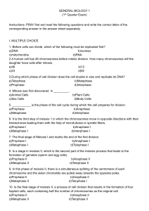 General Biology 1 Exam: Cell Division & Meiosis