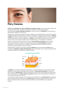 Anatomía y Función de la Piel: Capas, Células y Evaluación Clínica