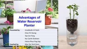Water Reservoir Planter Advantages: Presentation