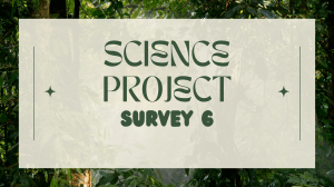 Science Project: Tree Animal Survey & Data Analysis