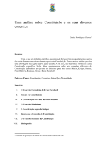 Uma análise sobre Constituição e os seus diversos conceitos.doc